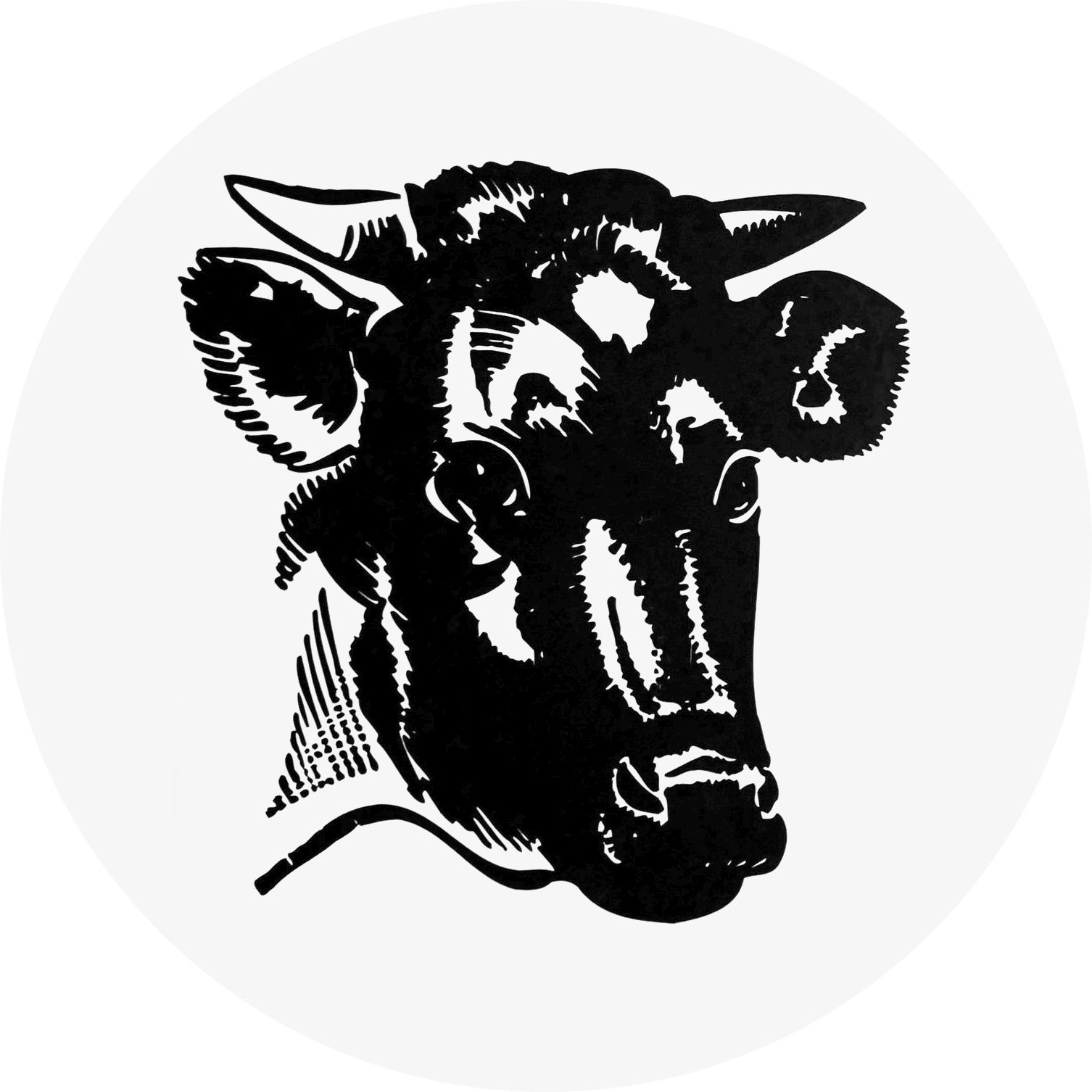 504379011 122107519256933798 411191010647135837 n